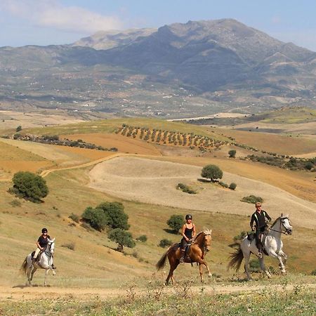 Molino De Saladilla Otel Coín Dış mekan fotoğraf