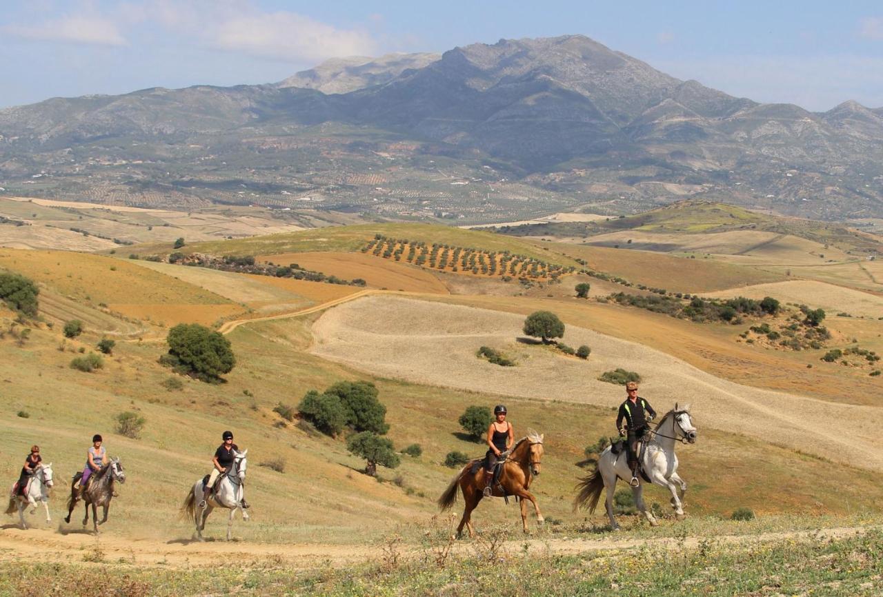 Molino De Saladilla Otel Coín Dış mekan fotoğraf